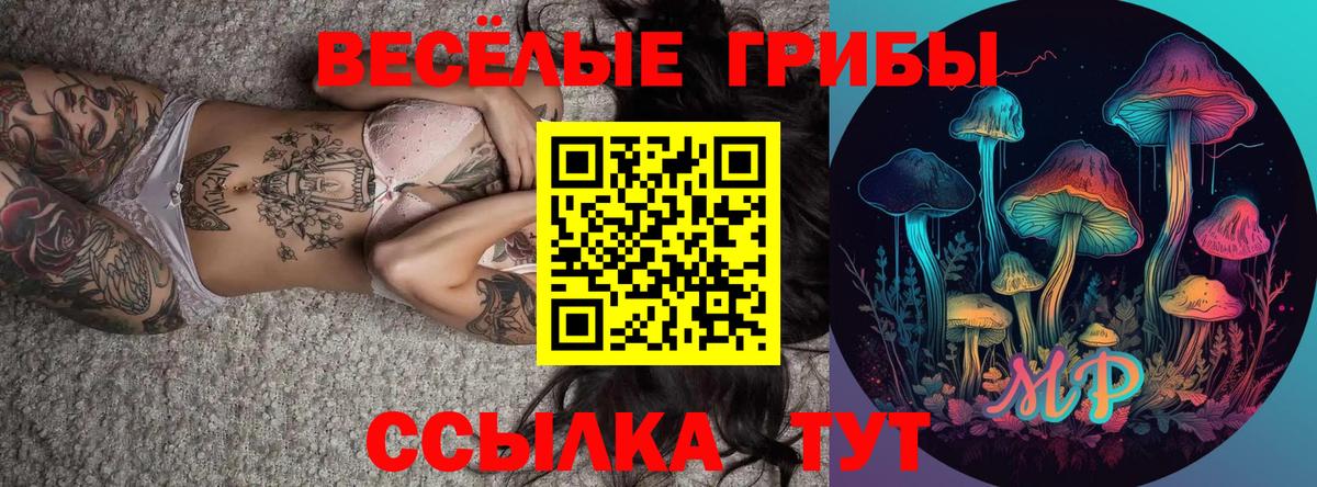 Галлюциногенные грибы GOLDEN TEACHER  Вход с VPN  Рузаевка 